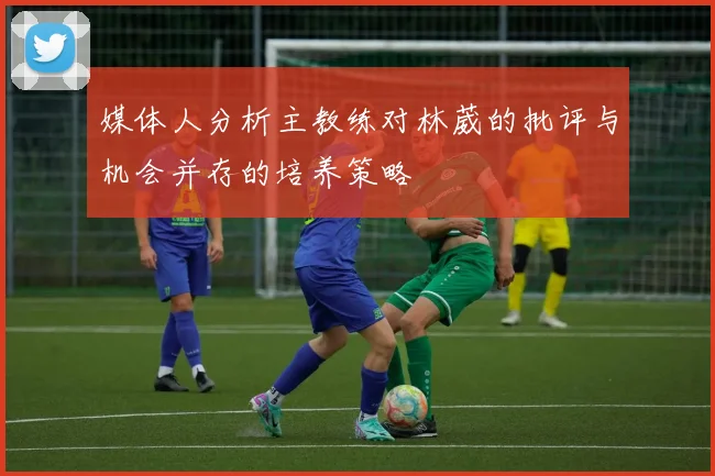 媒体人分析主教练对林葳的批评与机会并存的培养策略