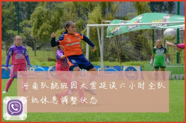 河南队航班因大雪延误六小时全队下机休息调整状态